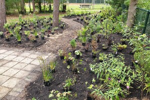 Beplantingsadvies