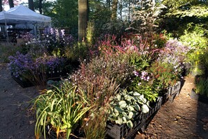 Tuinmarkten 2025
