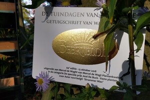 Tuinmarkten 2025