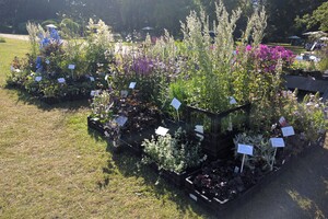 Tuinmarkten 2025
