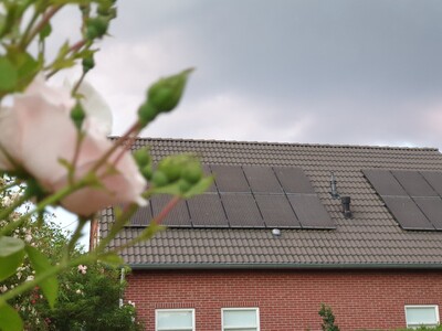 Natuurlijk en ambachtelijk gekweekt